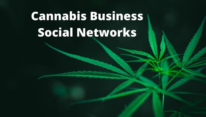 Leading cannabis business social network of 2022