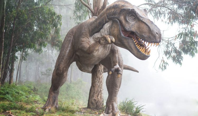 What dinosaur has 500 teeth name?