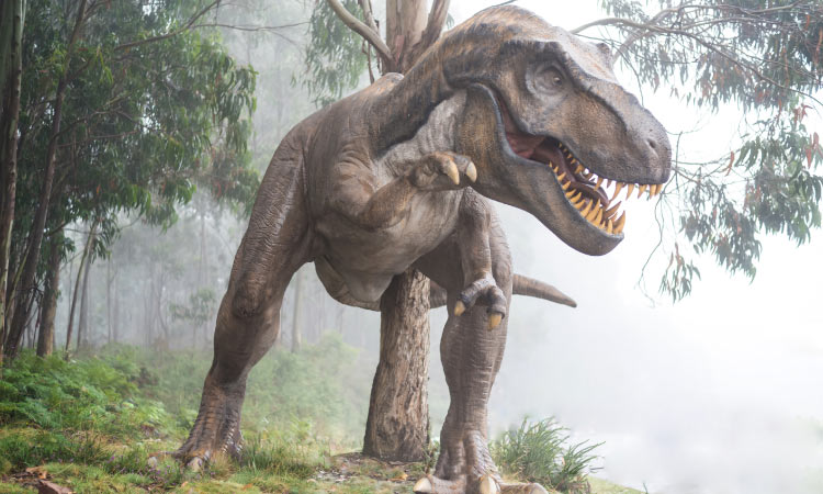 What dinosaur has 500 teeth name?