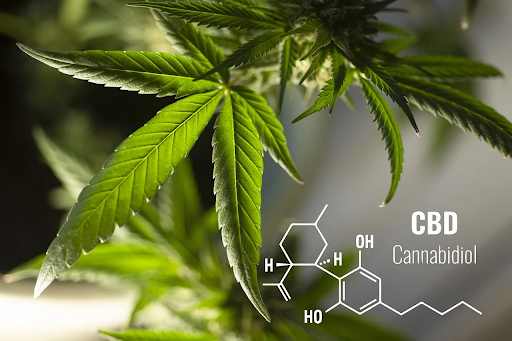 Full-Spectrum THC: Here Are The 8 Best Products To Try This Year